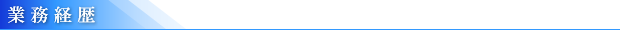 業務経歴